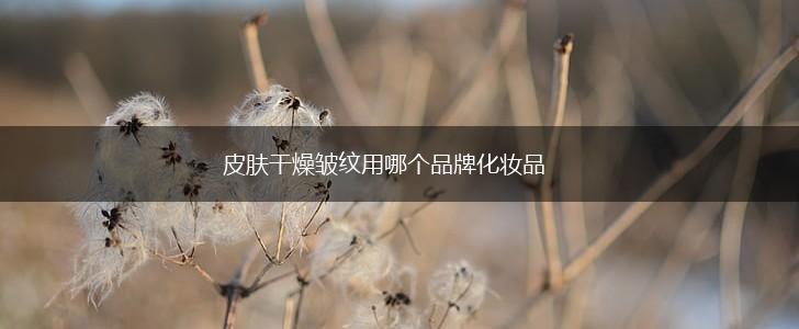 皮肤干燥皱纹用哪个品牌化妆品,第1张