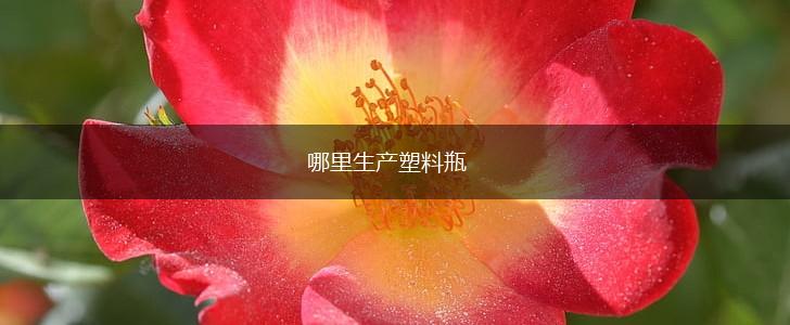 哪里生产塑料瓶,第1张