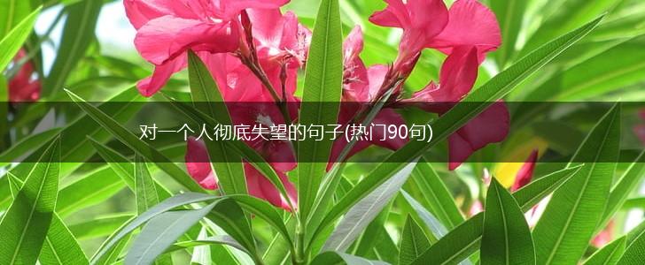 对一个人彻底失望的句子(热门90句),第1张