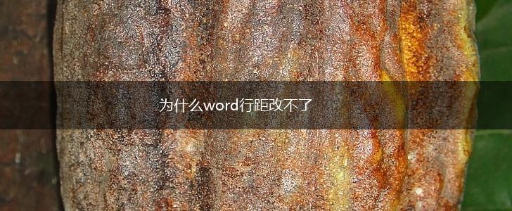 为什么word行距改不了,第1张