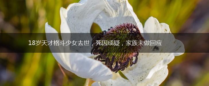 18岁天才格斗少女去世，死因成疑，家族未做回应,第1张