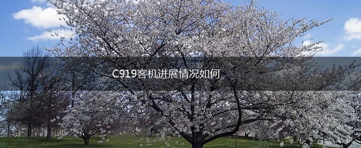 C919客机进展情况如何,第1张