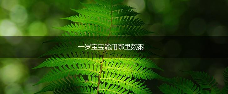 一岁宝宝能用哪里熬粥,第1张