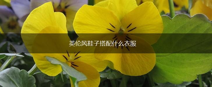 英伦风鞋子搭配什么衣服,第1张