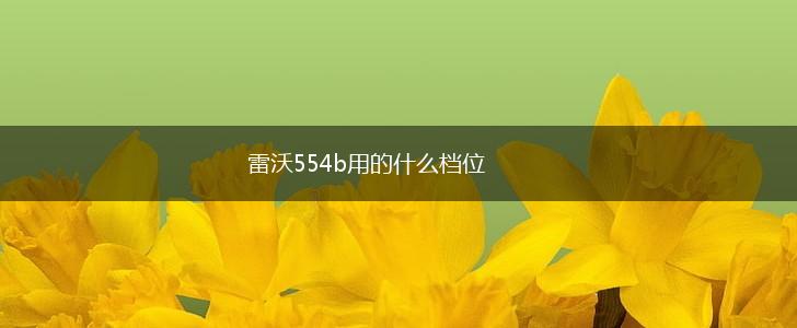 雷沃554b用的什么档位,第1张