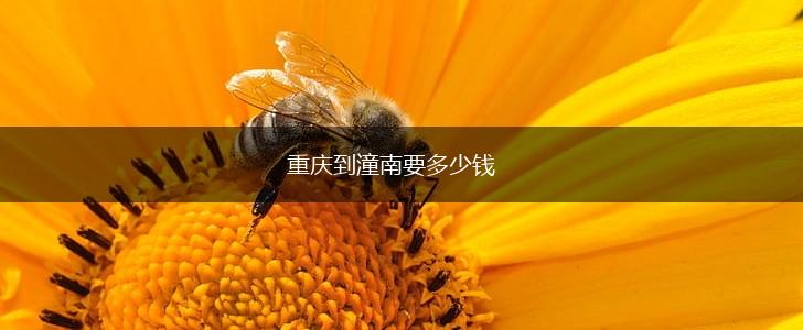 重庆到潼南要多少钱,第1张