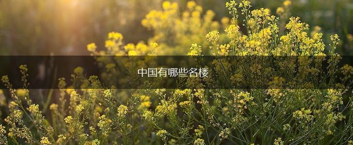 中国有哪些名楼,第1张