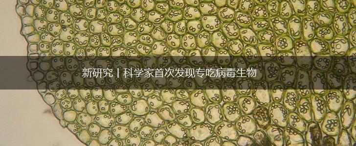 新研究丨科学家首次发现专吃病毒生物,第1张