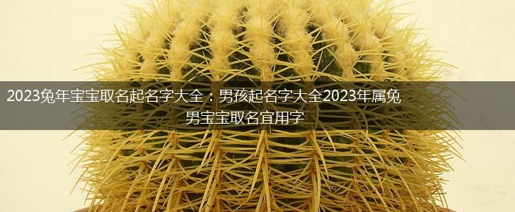 2023兔年宝宝取名起名字大全：男孩起名字大全2023年属兔男宝宝取名宜用字,第1张
