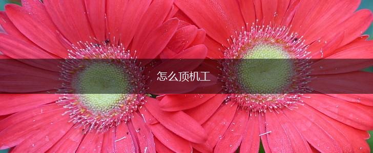 怎么顶机工,第1张