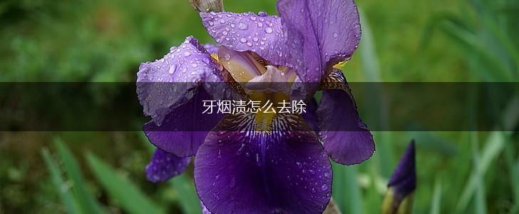 牙烟渍怎么去除,第1张