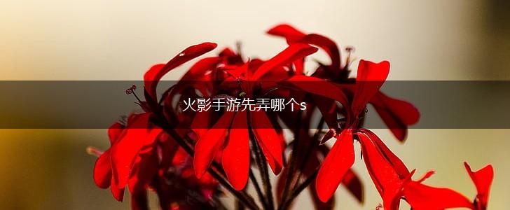 火影手游先弄哪个s,第1张