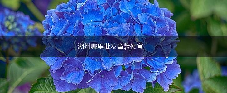 湖州哪里批发童装便宜,第1张