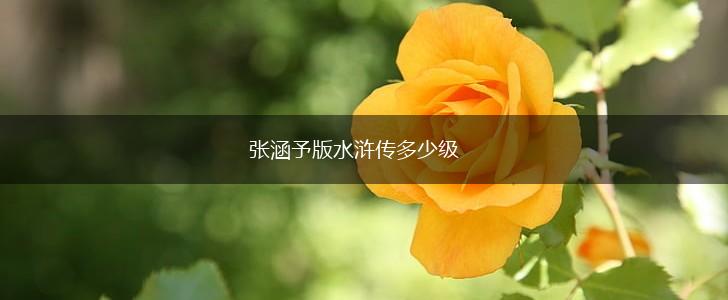 张涵予版水浒传多少级,第1张
