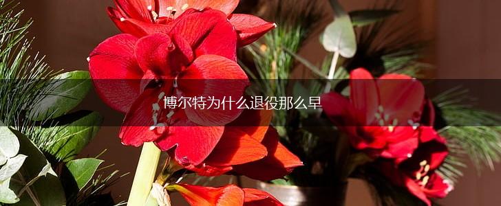 博尔特为什么退役那么早,第1张