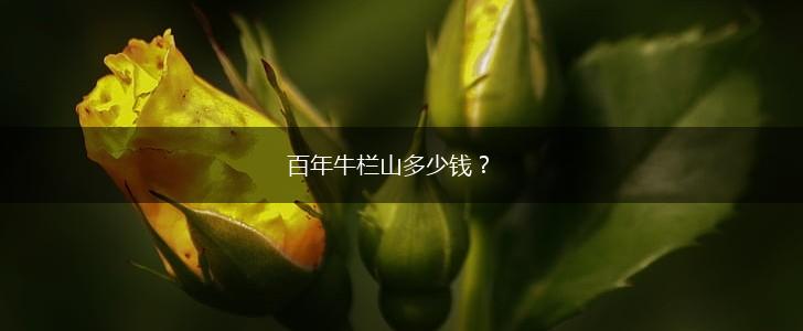 百年牛栏山多少钱？,第1张