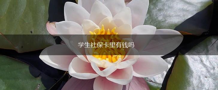 学生社保卡里有钱吗,第1张