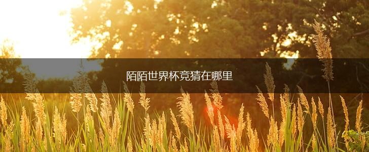 陌陌世界杯竞猜在哪里,第1张