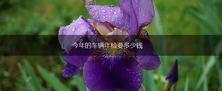 今年的车辆年检要多少钱,第1张