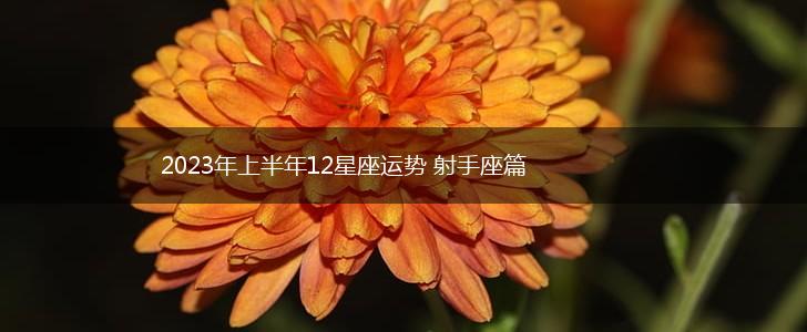 2023年上半年12星座运势 射手座篇,第1张