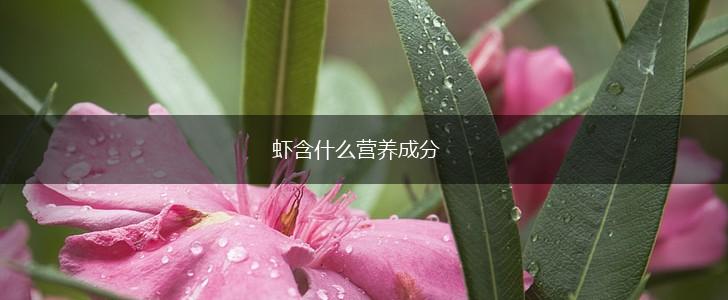 虾含什么营养成分,第1张