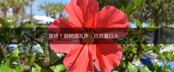 重磅！郭树清发声，信息量巨大,第1张