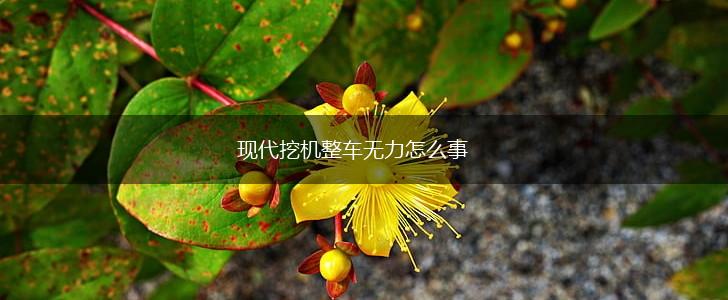现代挖机整车无力怎么事,第1张