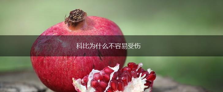 科比为什么不容易受伤,第1张