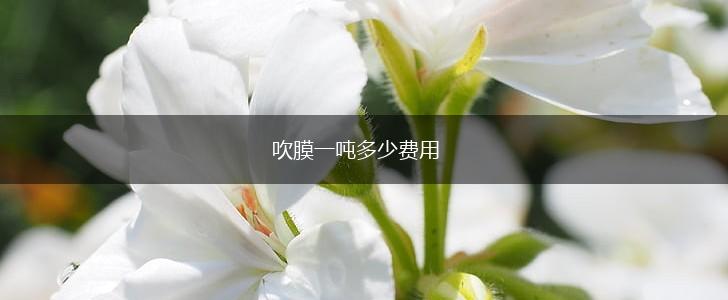 吹膜一吨多少费用,第1张