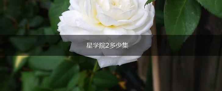 星学院2多少集,第1张