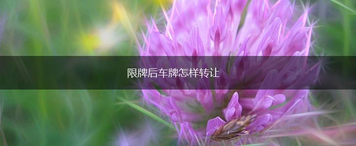 限牌后车牌怎样转让,第1张
