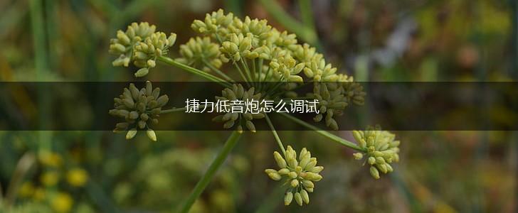 捷力低音炮怎么调试,第1张