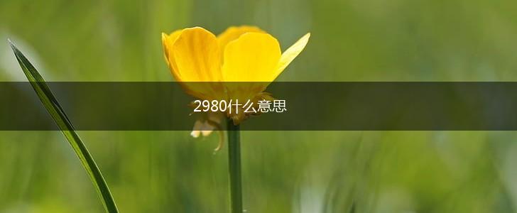 2980什么意思,第1张