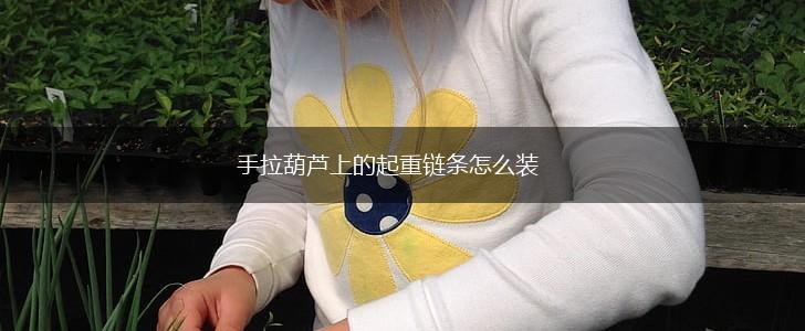 手拉葫芦上的起重链条怎么装,第1张