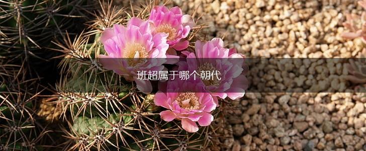 班超属于哪个朝代,第1张