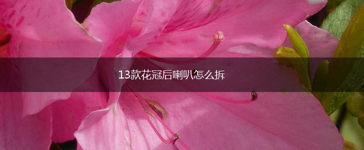 13款花冠后喇叭怎么拆,第1张