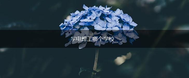 学电焊工哪个学校,第1张