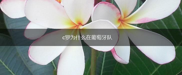 c罗为什么在葡萄牙队,第1张