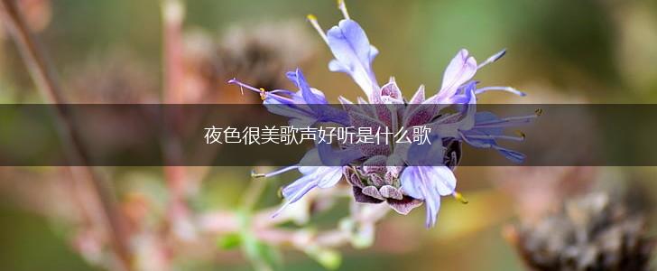 夜色很美歌声好听是什么歌,第1张