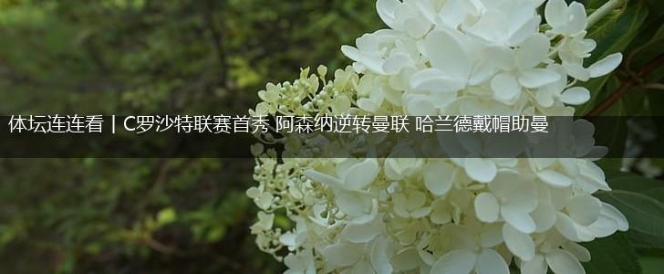 体坛连连看丨C罗沙特联赛首秀 阿森纳逆转曼联 哈兰德戴帽助曼城大胜,第1张