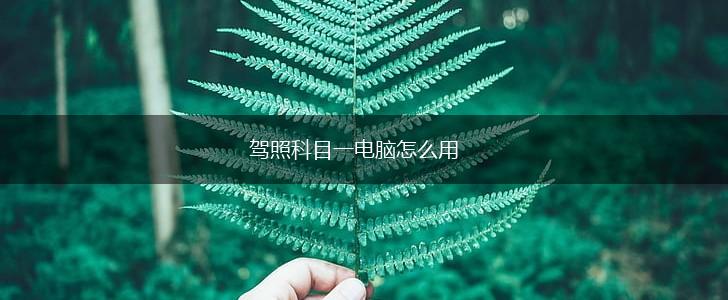 驾照科目一电脑怎么用,第1张
