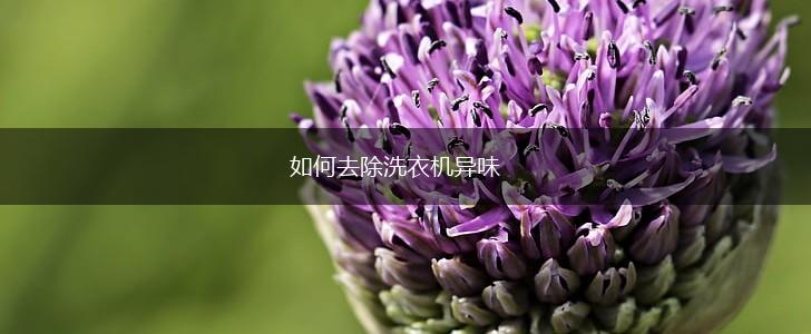 如何去除洗衣机异味,第1张