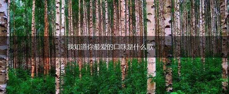 我知道你最爱的口味是什么歌,第1张