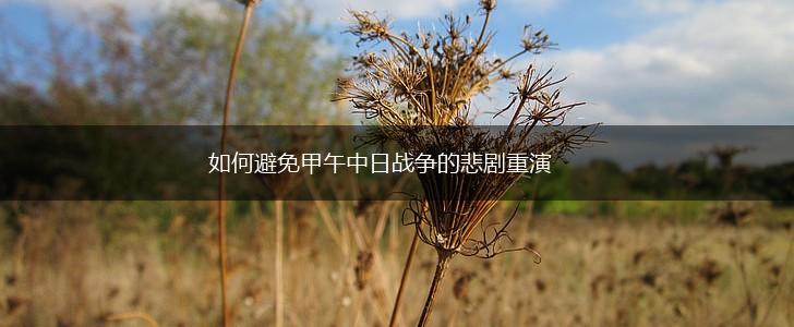 如何避免甲午中日战争的悲剧重演,第1张