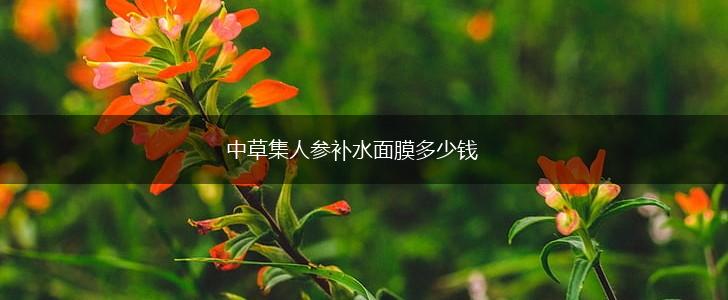 中草集人参补水面膜多少钱,第1张