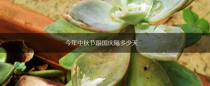 今年中秋节跟国庆隔多少天,第1张