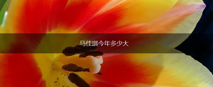 马佳琪今年多少大,第1张