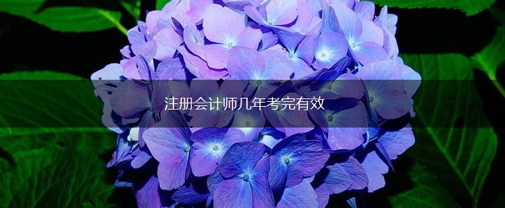 注册会计师几年考完有效,第1张