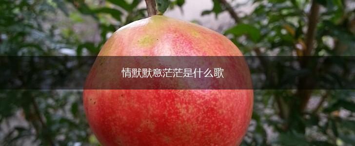 情默默意茫茫是什么歌,第1张