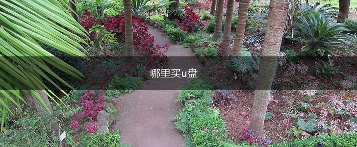 哪里买u盘,第1张